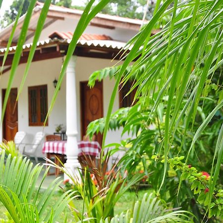 Sigiriya Amenity Home Stay Eksteriør bilde