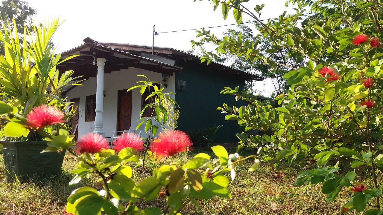 Sigiriya Amenity Home Stay Eksteriør bilde