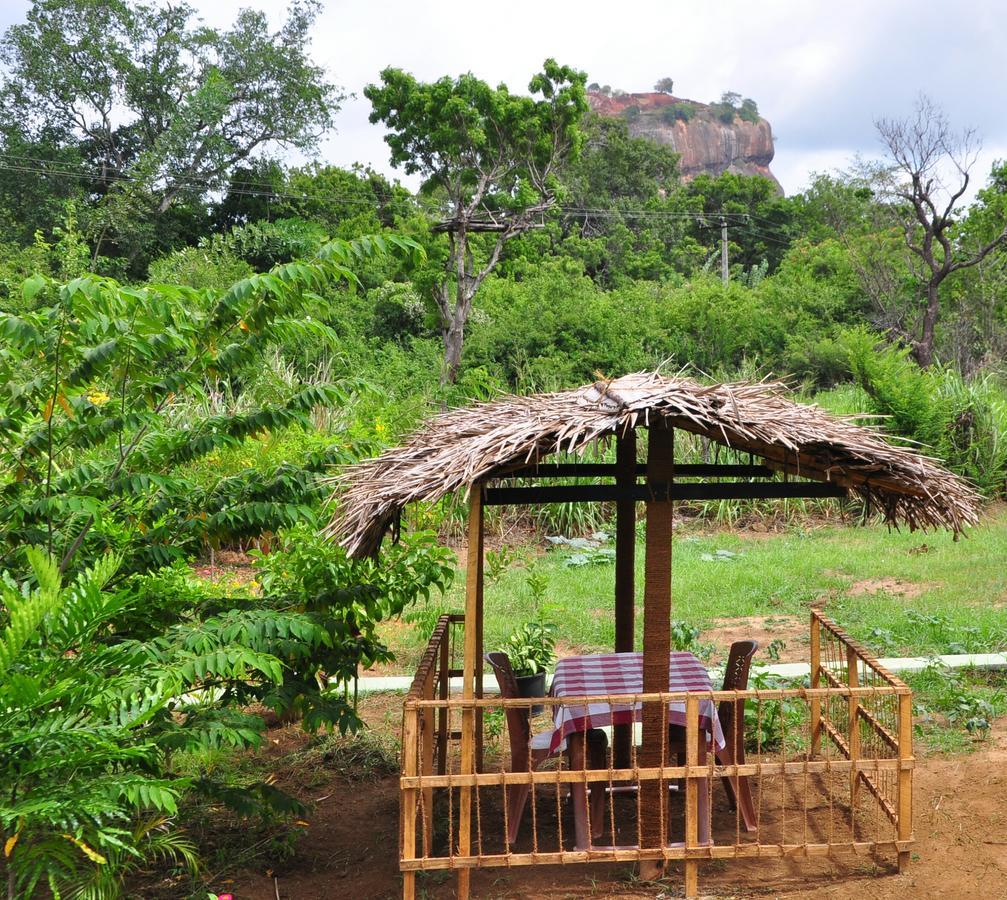 Sigiriya Amenity Home Stay Eksteriør bilde