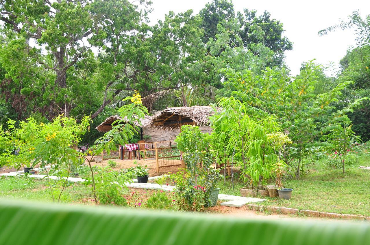 Sigiriya Amenity Home Stay Eksteriør bilde