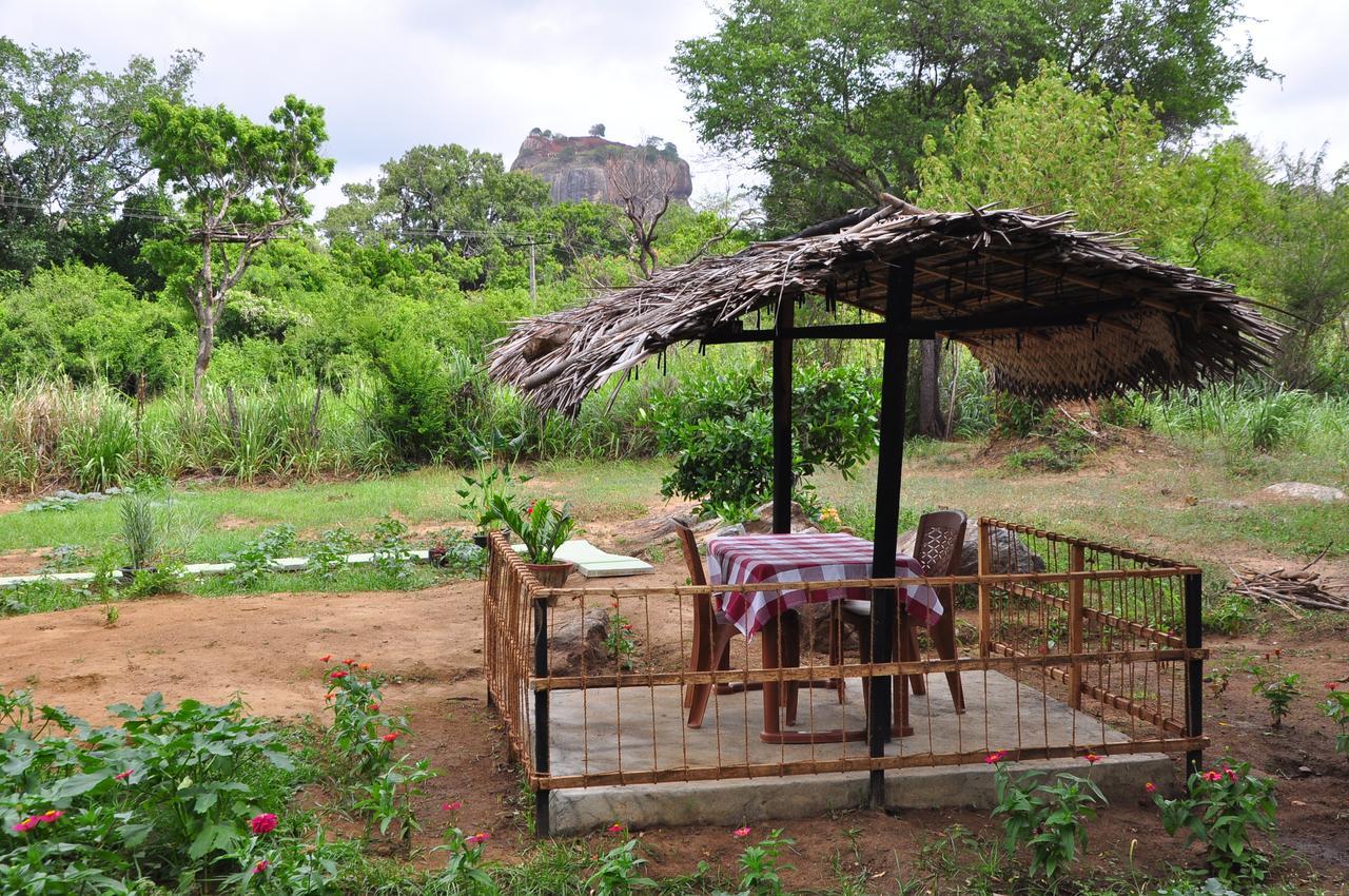 Sigiriya Amenity Home Stay Eksteriør bilde