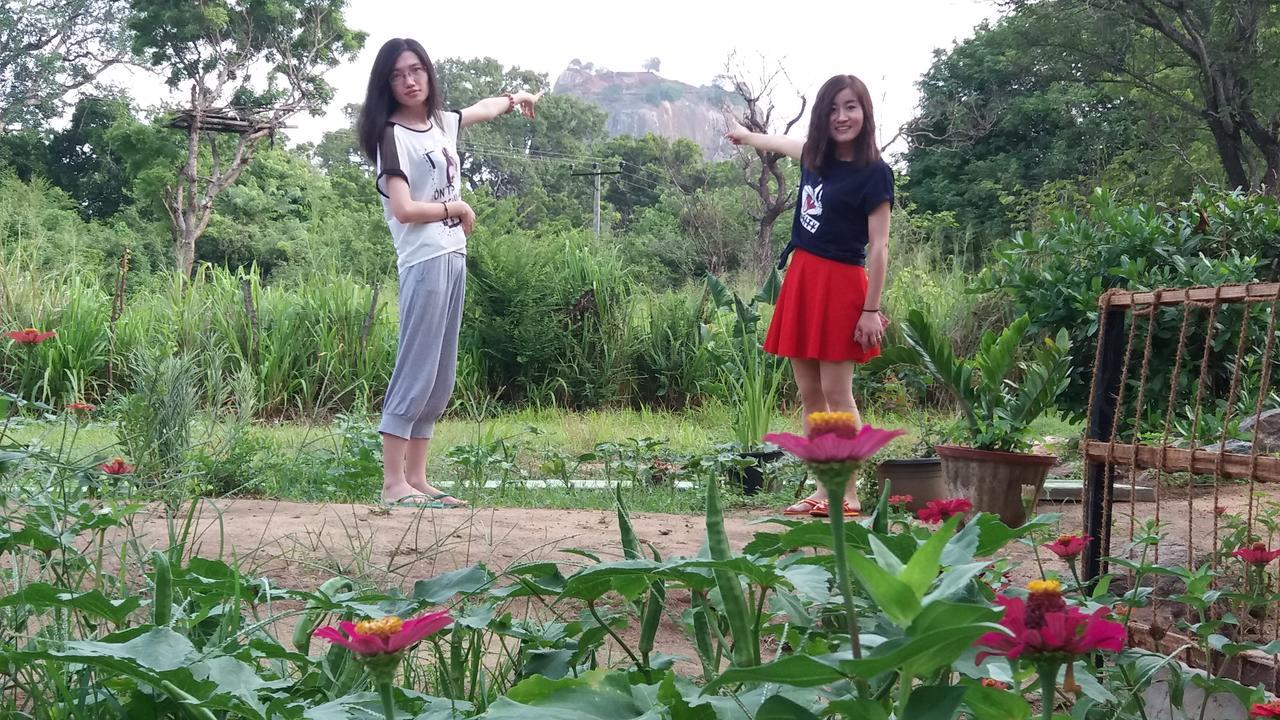 Sigiriya Amenity Home Stay Eksteriør bilde
